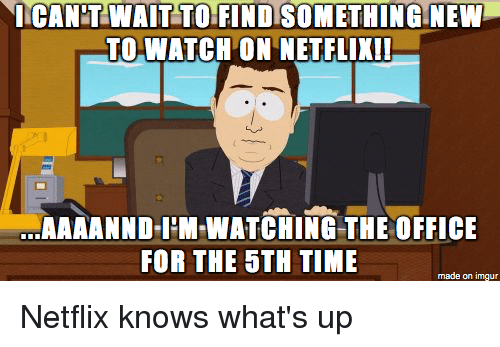 Image result for the office netflix meme